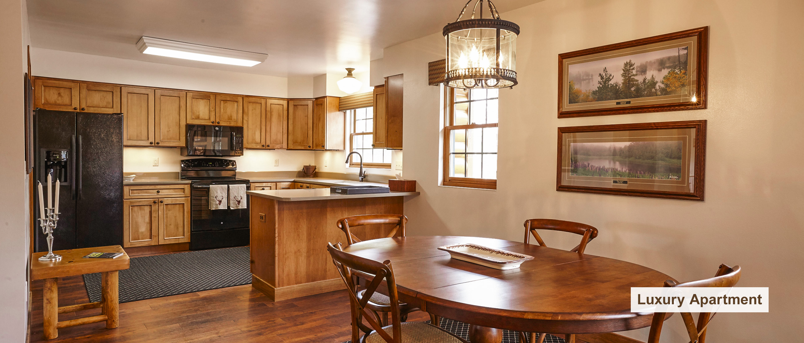 Luxury Apartment Kitchen