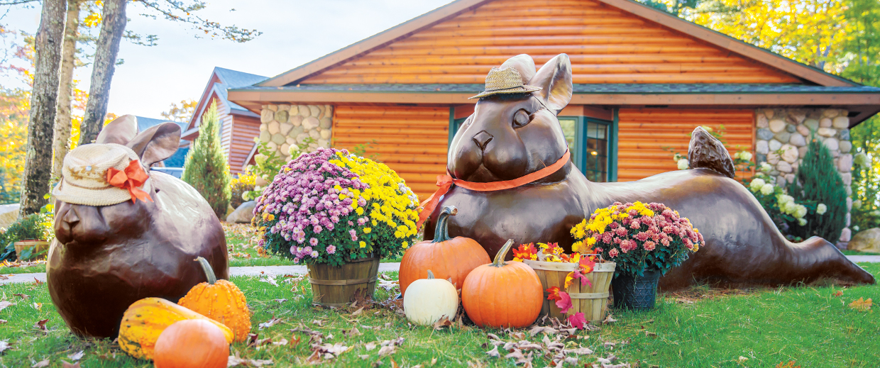 Your perfect Wisconsin getaway is here!