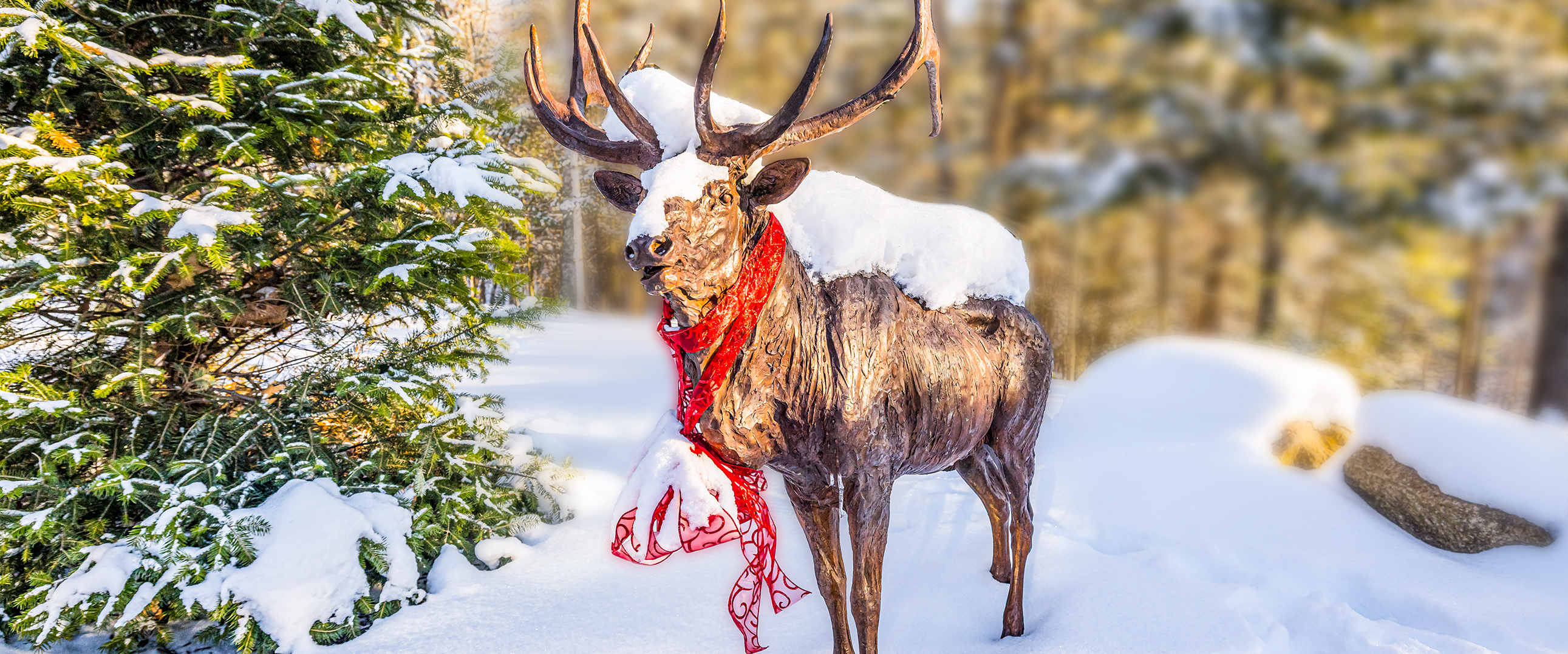 Events happening in Manitowish Waters.