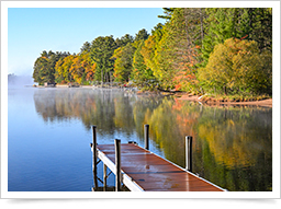 Lake lined with trees