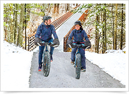 Lake lined with trees